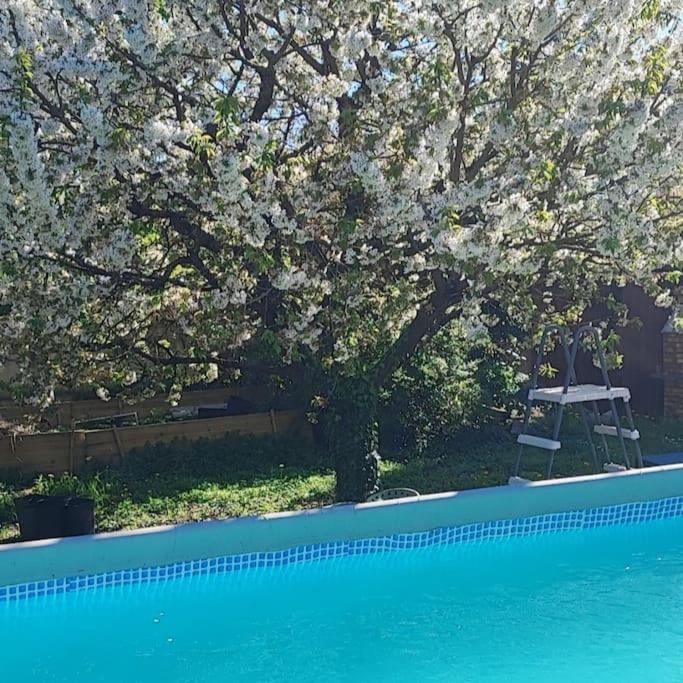 Havre De Paix Villa Corbeil-Essonnes Luaran gambar